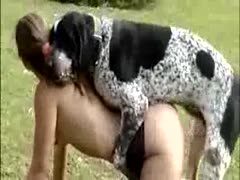 Public sex between a Dalmatian dog and a beastiality enthusiast